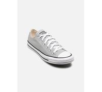 Converse Baskets basses Chuck Taylor All Star in Gris 36