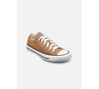 Converse Baskets basses CHUCK TAYLOR ALL STAR in Jaune 36