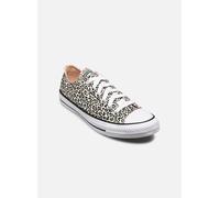 Baskets Converse Chuck Taylor All Star Ox pour 37 Multicolore