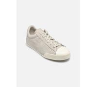 Baskets Converse Chuck Taylor Lo Color Pop Ox pour Femme 41 Gris