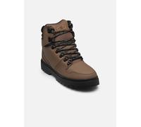 Baskets DC Shoes Peary TR M pour Homme 40 Marron