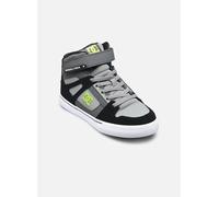 Baskets DC Shoes Pure High-Top EV pour 38 Gris