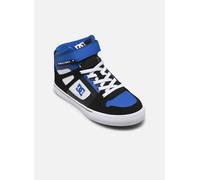 Baskets DC Shoes Pure High-Top EV pour Enfant 32 Multicolore