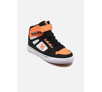 Baskets DC Shoes Pure High-Top EV pour Enfant 33 Multicolore