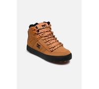 Baskets DC Shoes Pure High-Top Wc Wnt pour Homme 41 Marron