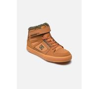Baskets DC Shoes Pure High-Top Wnt Ev pour 36 Marron