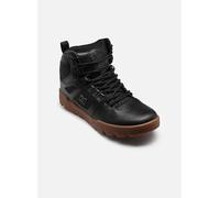 Baskets DC Shoes Pure High-Top WR Boot pour Homme 43 Noir