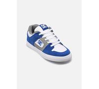 Dc Shoes Pure Trainers Bleu EU 37 Garçons