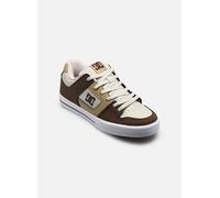 Baskets DC Shoes Pure M pour Homme 43 Marron