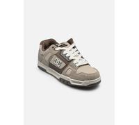 Baskets DC Shoes Stag M pour Homme 42 Beige
