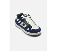 Baskets DC Shoes STAG YOUTH pour Enfant 38 Multicolore