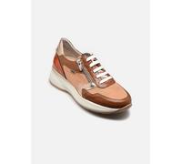 Baskets Dorking FLIX D9673 pour Femme 41 Marron