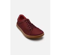 Baskets El Naturalista Origen N5910L pour 40 Bordeaux