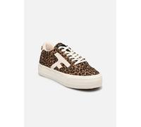 Baskets basses femmes Faguo ELM Marron 37