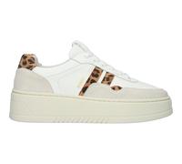 Baskets femme Blackstone Garnet Koda Blanc 39