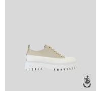 Baskets femme - BRONX - Groov-y low lace up Canvas - Marron - Camel - Textile - Lacets 40