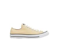 Baskets femme Converse Chuck Taylor All Star Beige 43