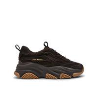 Baskets femme Steve Madden Possession-E Marron 41
