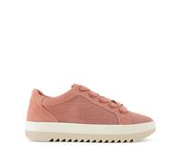 Baskets femme Toms Rea Rose 42,5