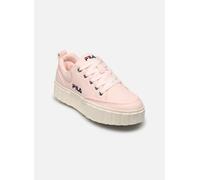 FILA Sandblast C Wmn Mauve Chalk-marshmallow Taille: 37 | Baskets Outlet | Femme | Mauve