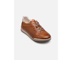 Baskets Fluchos ELDER F2179 pour Homme 40 Marron