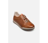 Baskets Fluchos ELDER F2179 pour Homme 43 Marron