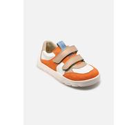 Baskets Froddo ZERU SPRING BAREFOOT pour Enfant 29 Multicolore