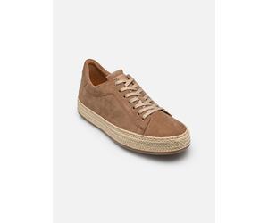 Baskets Gabor 83.270 pour Femme 38 1/2 Marron
