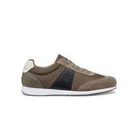 Baskets Geox Arthien Gris 43