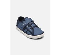 Baskets Geox B Gisli Boy A pour 22 Bleu