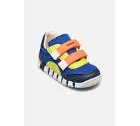 Baskets Geox B Iupidoo Boy C pour Enfant 20 Multicolore