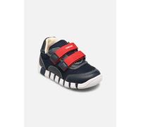 Baskets Geox B Iupidoo Boy C pour Enfant 24 Bleu