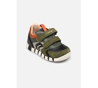 Baskets Geox B IUPIDOO BOY pour Enfant 20 Vert