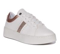 Baskets - GEOX - D Skyely A - Blanc or - Femme - Lacets 37