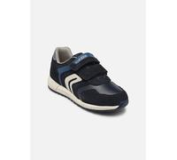 Baskets Geox J ALBEN BOY pour Enfant 33 Bleu