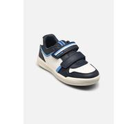 Baskets Geox J Arzach Boy E pour 30 Bleu