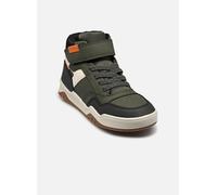 Geox Baskets Perth F