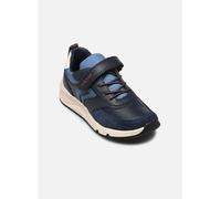 Geox Rooner Slip-on Shoes Bleu EU 28 Enfants
