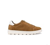 Geox Spherica Ecub-1 Trainers Marron EU 42