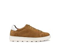 Baskets Geox Spherica Ecub-1 C Marron 42