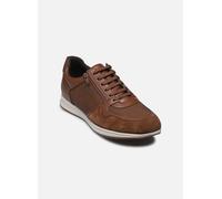 Geox Baskets Homme U Avery Marron Taille 44