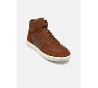 Baskets Geox U AVOLA B pour Homme 42 Marron