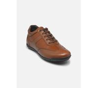 Baskets Geox U EDGWARE A pour Homme 39 Marron