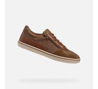 Baskets basses hommes Geox U ELVER A Marron 45