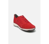 Geox Nebula Trainers Rouge EU 46 Homme