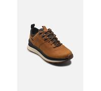 Geox Spherica Actif X2 Trainers Marron EU 43 Homme