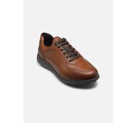 Geox Baskets U SPHERICA EC12 A Marron Taille 41