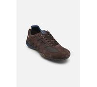Geox Baskets basses SNAKE K in Marron 42