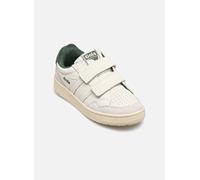 Gola - Kid's Eagle Strap - Baskets - UK 1 | EU 33 - off-white / evergreen