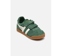 Baskets basses enfant garcons Gola HARRIER VELCRO Vert 33